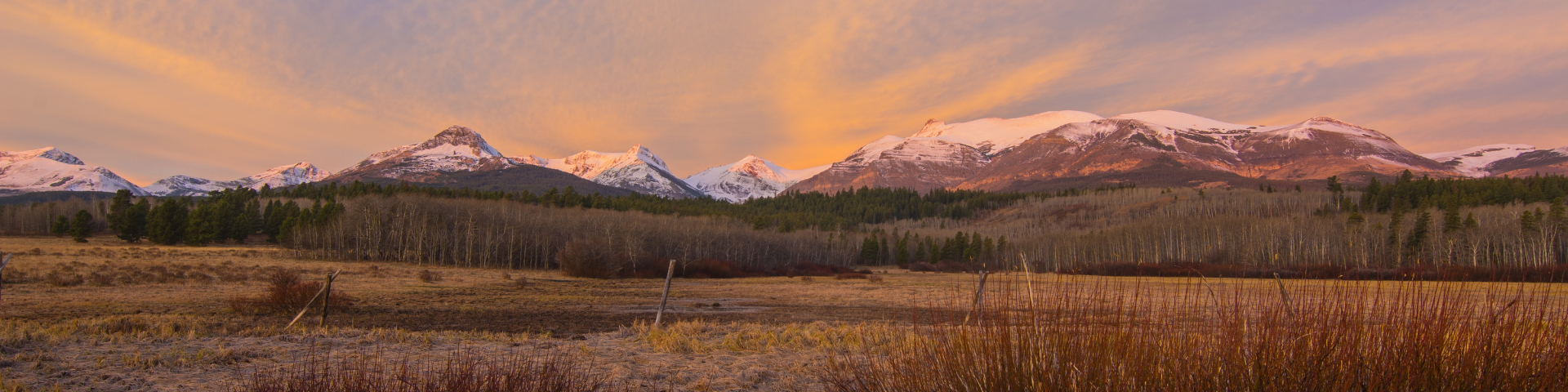 A pink-toned mountain sunrise in Montana
