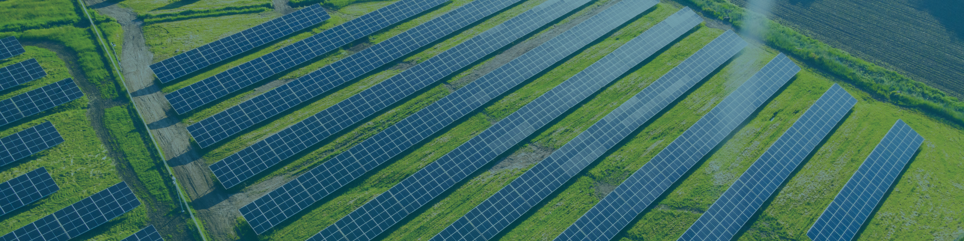 Several rows of solar panels on a green field
