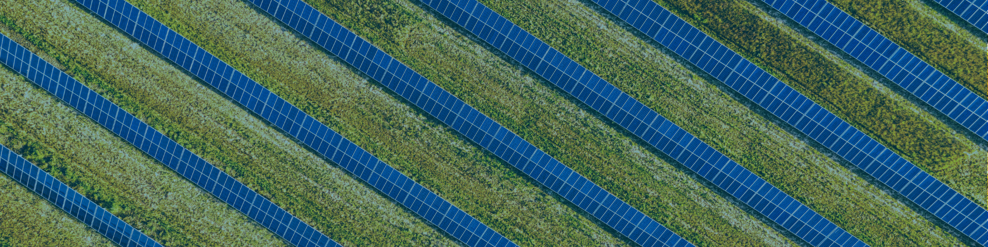 A birds-eye view of solar panels on a field with a dark blue overlay