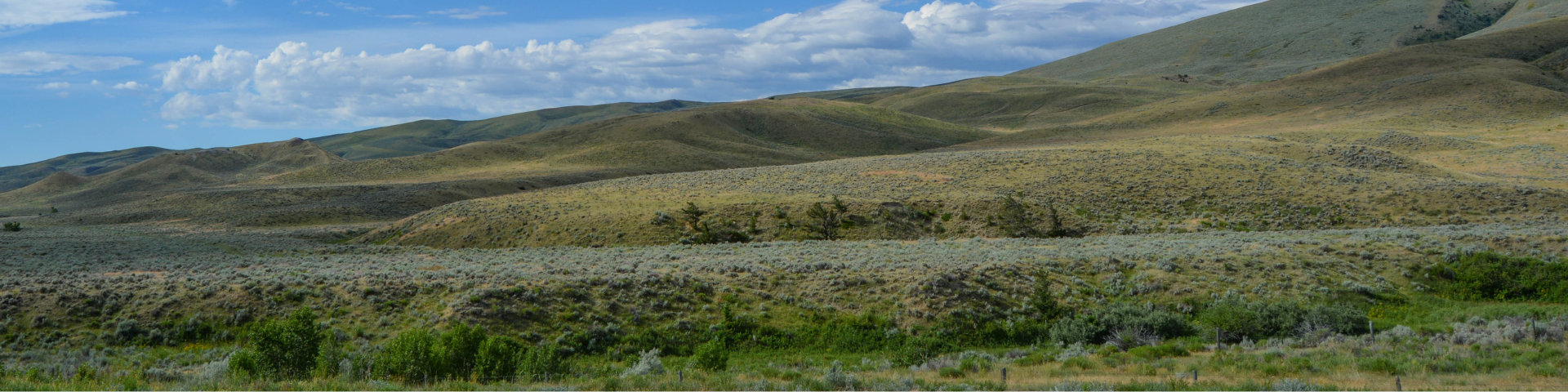 A panoramic view of rolling hills covered in dry grass under a partly cloudy blue sky.