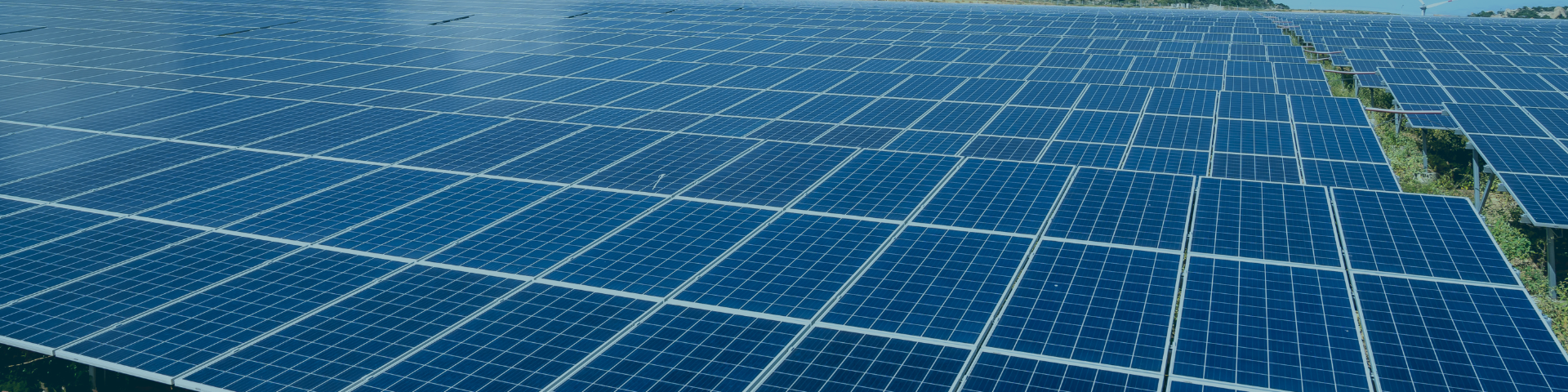 Solar array with a semitransparent blue overlay