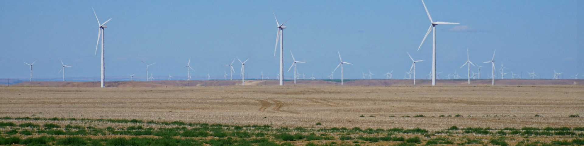 A vast field of wind turbines stretches across a flat, dry landscape under a clear blue sky in Oregon..