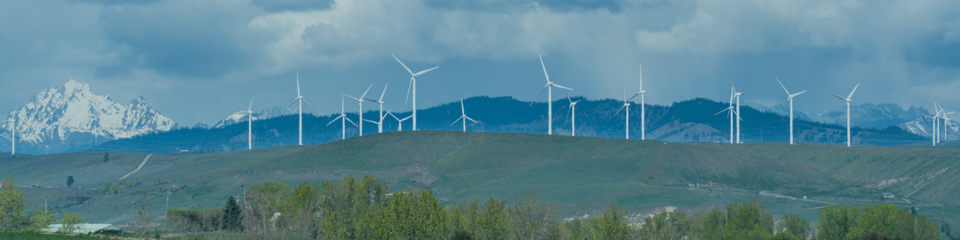 A panoramic view of a wind farm on rolling green hills with snow-capped mountains in the background under a cloudy sky.