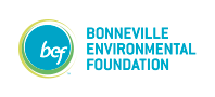 BEF Logo