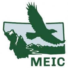 MEIC Logo